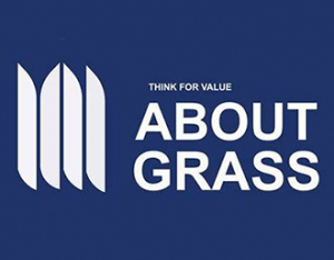 about grass